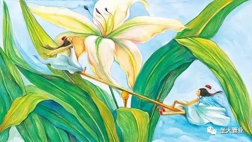 圣大管业 圣大管业